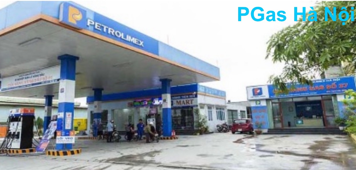 https://pgaspetrolimex.vn/